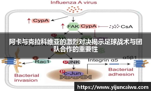 阿卡与克拉科维亚的激烈对决揭示足球战术与团队合作的重要性